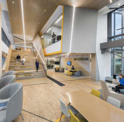 Workspace rendering
