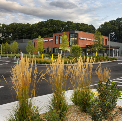 Veterinary Hospital parking lot