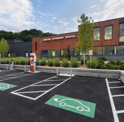 Electrical car chargers in the parking lot