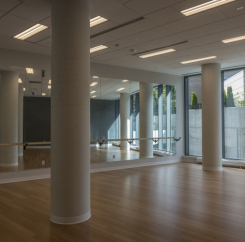 Dance studio mirror and ballet bar