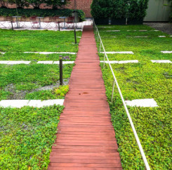 Wooden planks form a walkway