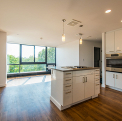 Vacant unit kitchen