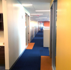 Looking down the hallway with dark navy carpet and orange accents