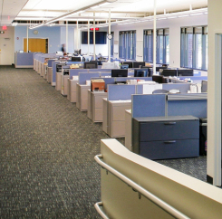 Cubicle workstations in use