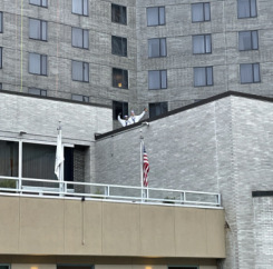 Ipsitha & Anthony on the roof after belaying!