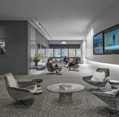 Shire, Perkins + Will, arch