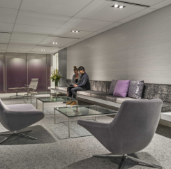 Shire, Perkins + Will, arch