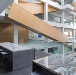 Baxalta Research & Development Innovation Center #17
