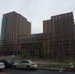 Photo-1