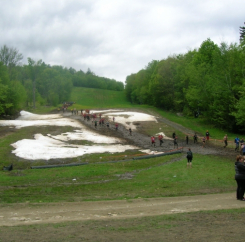 tough-mudder12